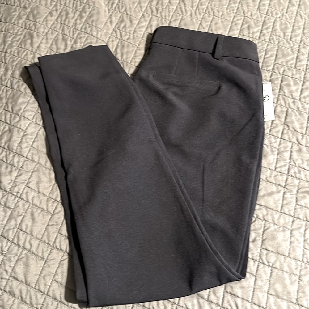 NWT navy slacks. Eden Ruth